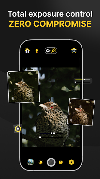 Exposure controls